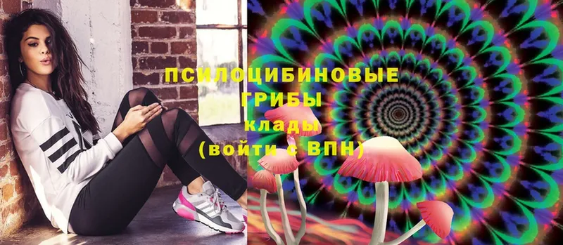 Псилоцибиновые грибы MAGIC MUSHROOMS  Барыш 